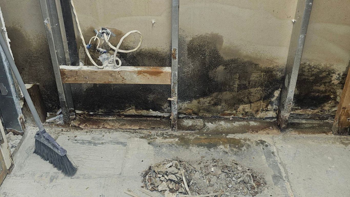 Safe, Fast, and Reliable Mold Removal Estero Residents Love mold removal Estero