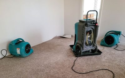 Structural Drying That Revives Your Home After the Flood
